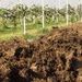 Pietropoli Azienda Agricola
